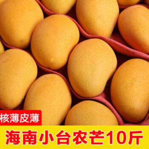 海南小台农芒果新鲜水果当季小芒果应季小台芒大青芒3/5/10斤带箱整箱 10斤装（实惠装）
